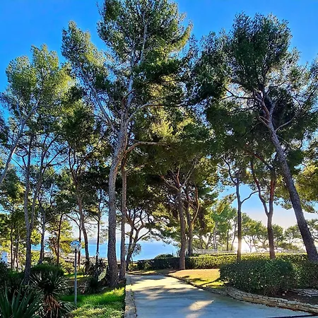 Apartment Superbe Vue - Plage, Piscine Et Tennis Prive Bandol